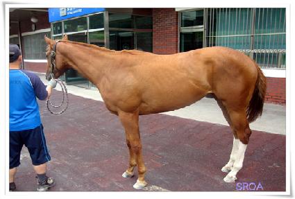 ���̿�����Ʈ ����