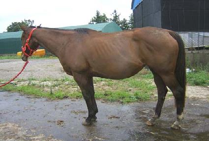 ��Ű�ڵ� ����