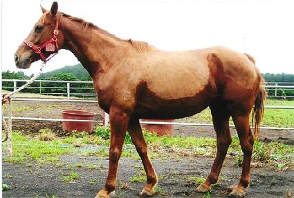 �͸����� ����