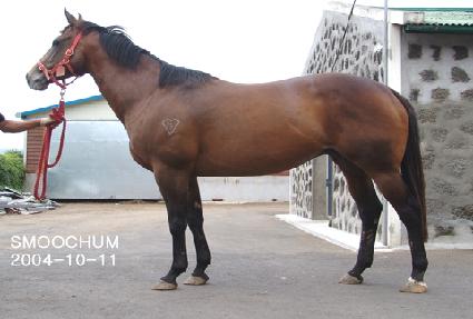 ����÷ ����