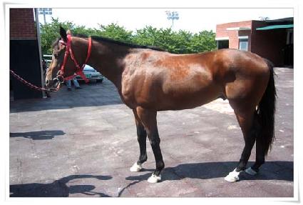 ���� ����