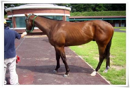 ������ ����