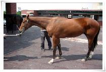 ���簡�� (HIDDEN GUY) ����