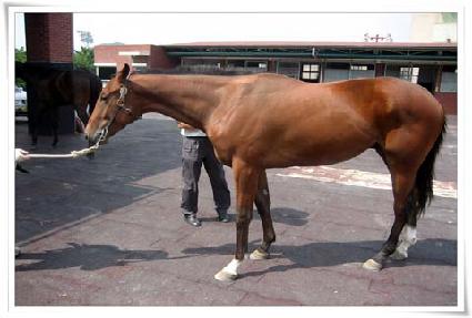 ���簡�� ����