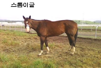 �����̱� ����