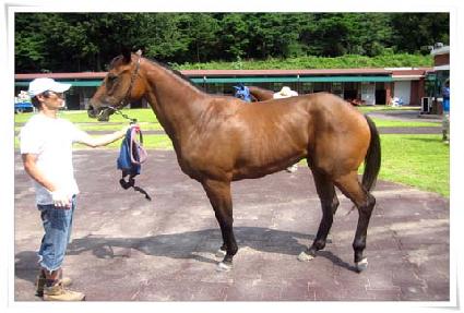 �ַ����� ����