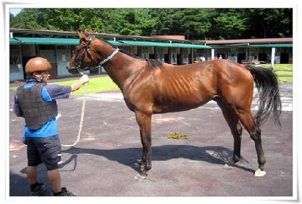 �Ѿ��� ����