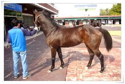 �־ϴ뱺 ����