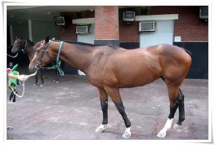 Ȳ���ܵ� ����