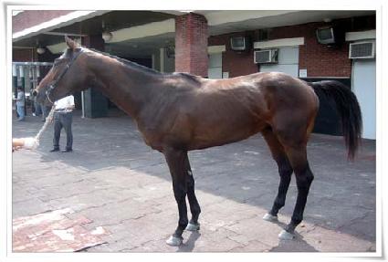 ���õ�� ����