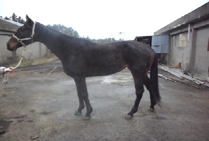 ��������Ÿ ����