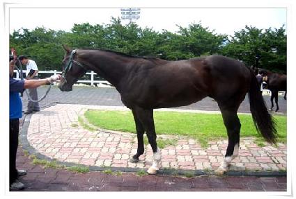 ���κ� ����