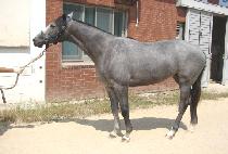 �����罺�������� (ELISA��S BIRTHDAY) ����