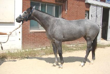 �����罺�������� ����