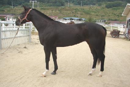 ��Ŷ��ĹĹ ����