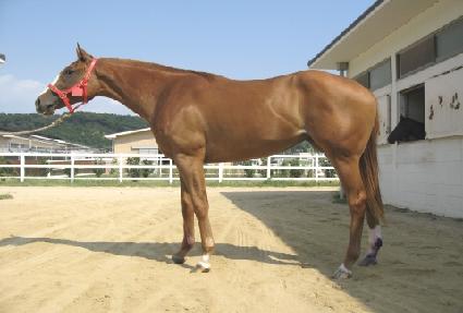 ��Ϻ�Ʈ ����