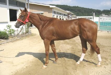 �鸸��Ʈ ����