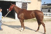 �þ���ý��� (SIYAH SISTER) ����