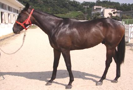 �����ŵ�� ����