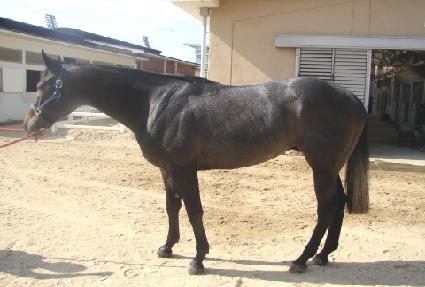 ��ź�� ����