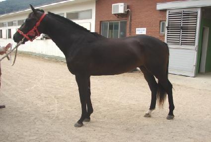 ��ũ���� ����