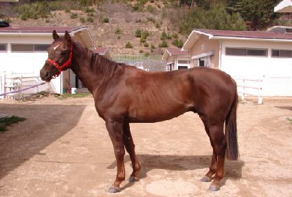 õ���� ����