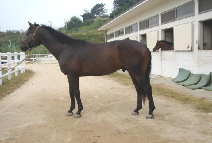 ���̾� ����