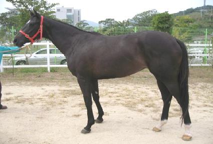 ��Ų�ƿ� ����