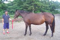 �ų�ť��� (MANICURED) ����