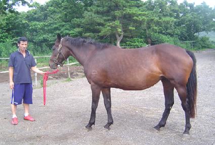 �ų�ť��� ����