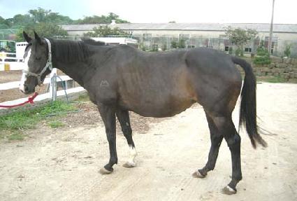 ��������Ÿ��Ÿ ����