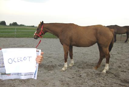 �ƽ��� ����