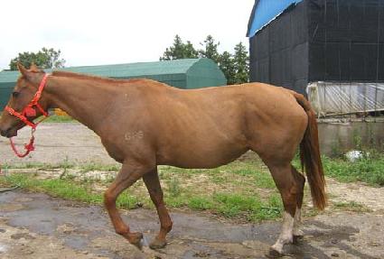 �и���ư ����