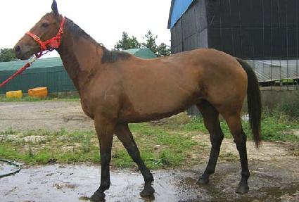 �ڵ�Ŀ���� ����