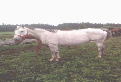 �����̵�����Ʈ ����