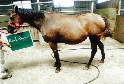 �ε巹���� ����