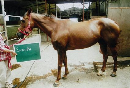 ����� ����