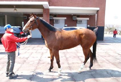 ���ִ�� ����