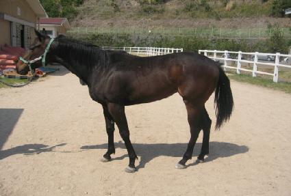 ������� ����