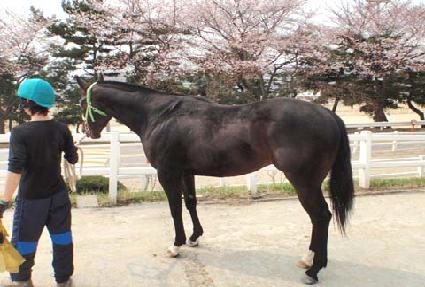 ��õ���� ����