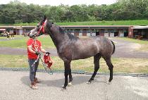 ��ħ�ٴ� (ACHIM BADA) ����