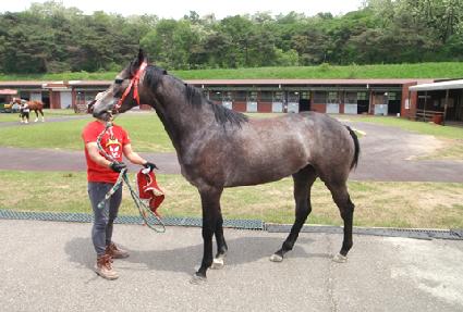 ��ħ�ٴ� ����