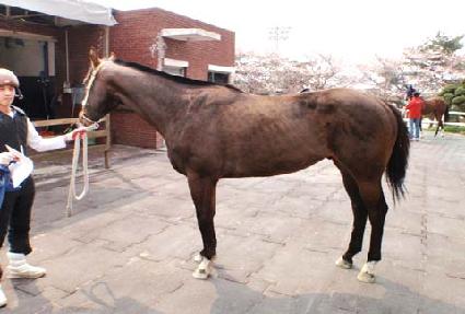 ��õ��� ����