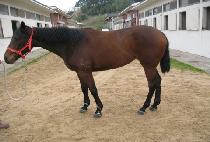 ���ֺ� (UJUBYEOL) ����