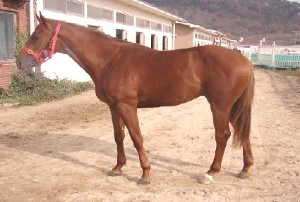 ���� ����