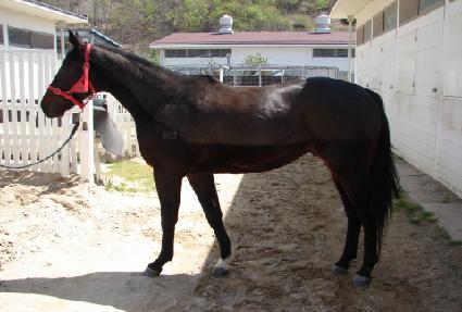 ������ ����