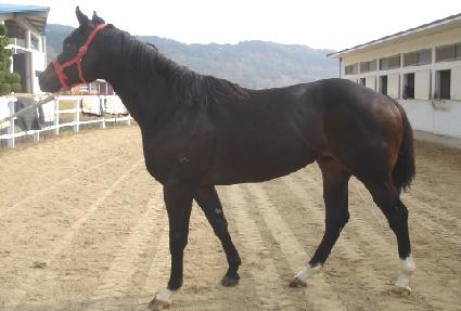 �����ѱ��� ����