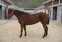 ��ȣ��� (GANGHOGISANG) ����