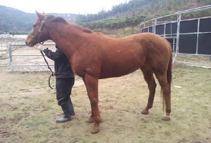 �ð�� ����