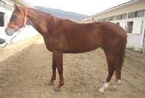 �����Ŀ� (NAMGYEONG POWER) ����